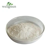 Polvere Alpha GPC