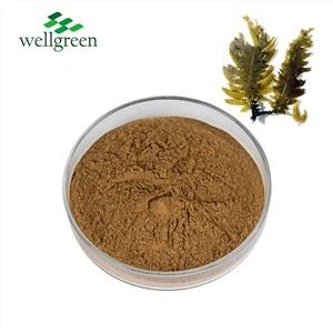 Estratto in polvere di alghe sfuse