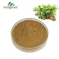 Polvere di estratto di portulaca