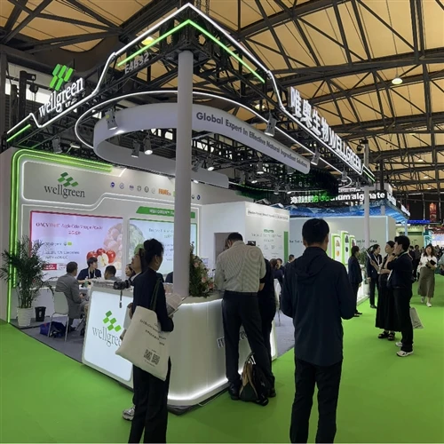 Dal vivo al CPHI China: Wellgreen evidenzia la consegna avanzata allo stand E...